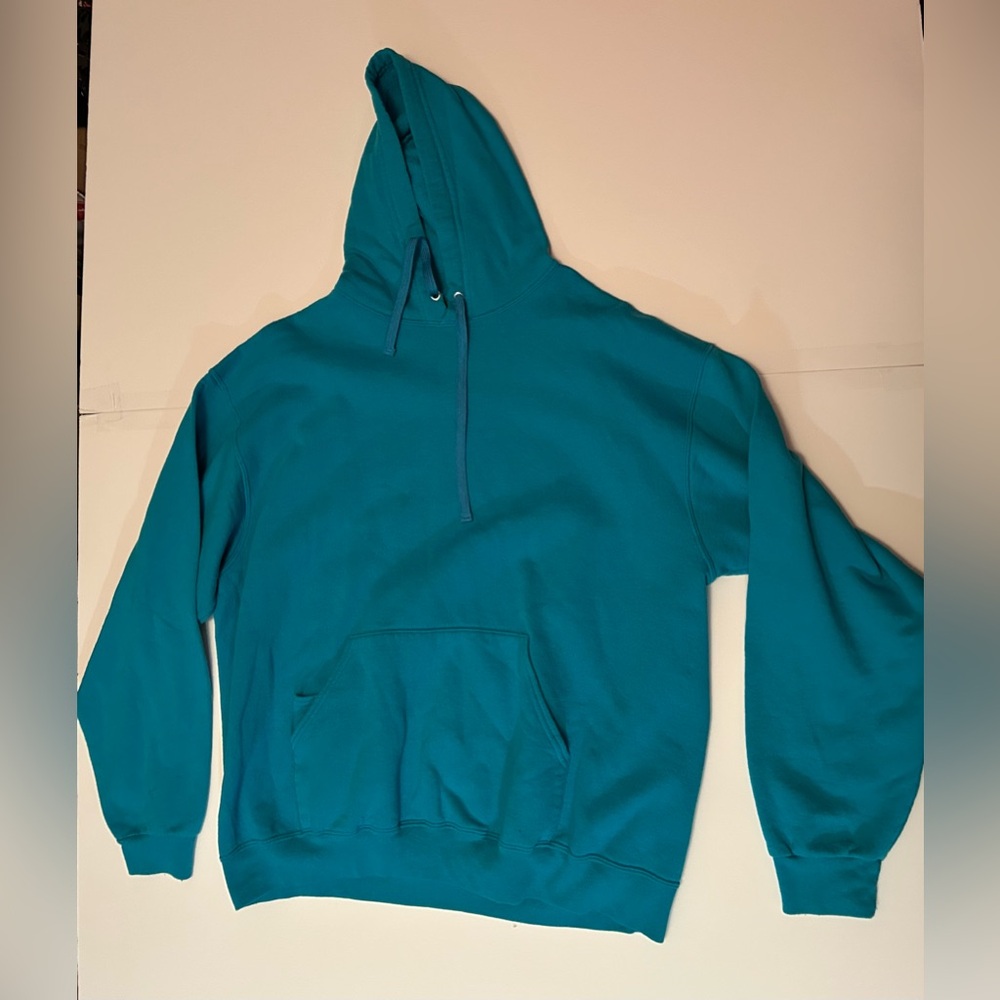 Fruit of the Loom Men's Teal Hoodie
